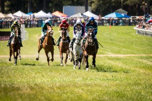 Aiken Steeplechase 4962